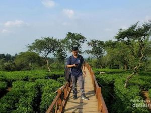 Pemandangan Luas nan Sejuk Ini Tak Jauh dari Surabaya Pemandangan Luas nan Sejuk Ini Tak Jauh dari Surabaya
