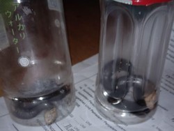 Sembunyi di Lemari, Kobra Sempat Merayap ke Anak Pemilik Rumah yang Tidur