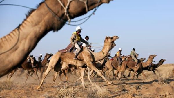 Foto: Aneka Kegiatan Unik di Gurun