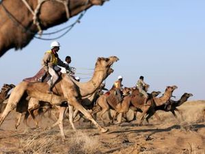 Foto: Aneka Kegiatan Unik di Gurun