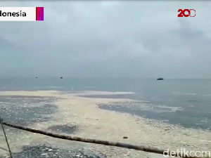 Respons Pengelola PLTU Bengkulu soal Tudingan Cemari Teluk Sepang