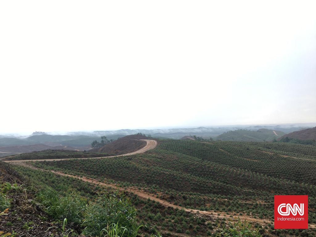 Kawasan Hutan Tanaman Industri (HTI) yang dipegang oleh PT ITCI Hutan Manunggal di Kabupaten Penajam Paser Utara, Kalimantan Timur akan menjadi kawasan ibu kota negara yang baru.
