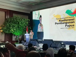 Mahfud Md: Membangun Papua Harus Holistik, Tidak Bisa Sendiri-sendiri