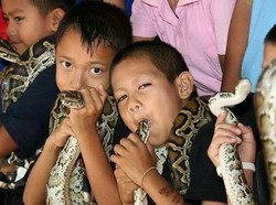 Lagi Ramai Ular Kobra, Kalau Ini Beneran Desa Kobra