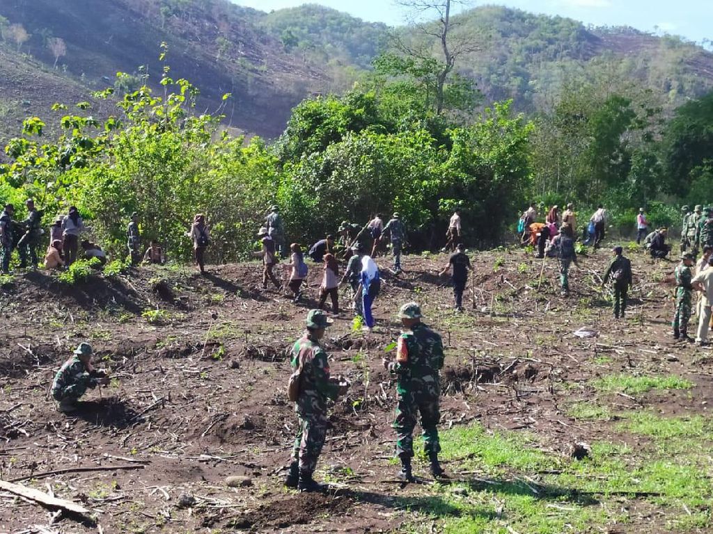 Hari Juang TNI AD, Tentara di Dompu Reboisasi Hutan