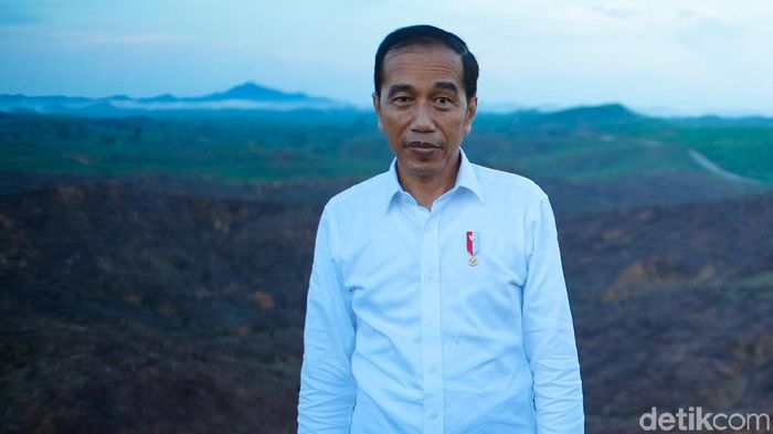 Eropa Tolak Sawit RI, Jokowi: Ngapain Tergantung Negara Lain/Foto: Andhika Prasetia/detikcom