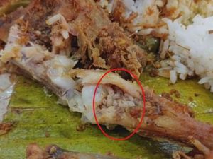 Video Nasi Lele Berbelatung di Medan Kejadian Lama, Penyebar Minta Maaf