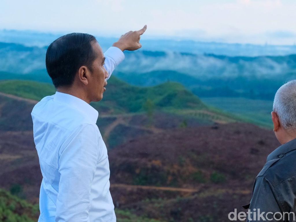 Kontur Ibu Kota Baru Berbukit, Jokowi: Sangat Bagus Kontur Ibu Kota Baru Berbukit, Jokowi: Sangat Bagus