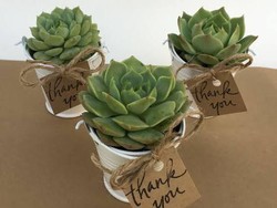 5 Ide Souvenir Pernikahan Unik 2021