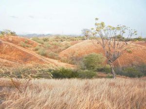 Bukit Cantik yang Selalu Bikin Rindu Kota Palu