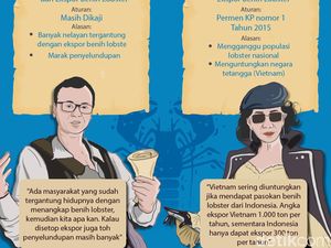 Ekspor Lobster: Pak Edhy Puas, Bu Susi Senang?