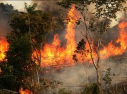 Karhutla 2019 dan Cuaca Panas Ekstrem