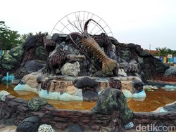 Ada Lobster Jumbo Bisa Diajak Foto-foto di Pangandaran