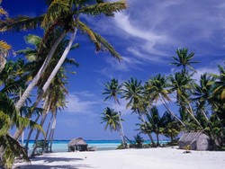 Untuk Pertama Kali Virus Corona Menyerang Negara Ini, Asalnya dari Turis