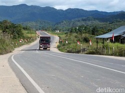 Jokowi Bangun Jalan 200 Km di Perbatasan RI-Malaysia, Buat Apa?