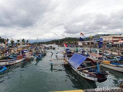 Nelayan Izinkan Ekspor Benih Lobster, Asalkan...