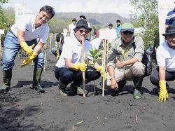 Tanam Mangrove Bukti Bakti Bagi Negeri