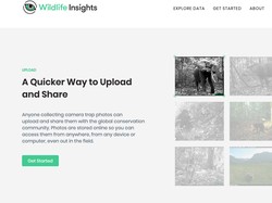 Mau Lihat Hewan Langka Indonesia? Wildlife Insights Kasih Gambarnya