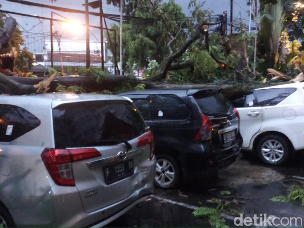 Hujan Angin, Pohon Tumbang Timpa Tiga Mobil di Bandung Hujan Angin, Pohon Tumbang Timpa Tiga Mobil di Bandung