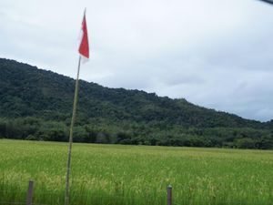 Nasib Warga di Perbatasan: Jalan Setapak dan Minim Sumber Pangan