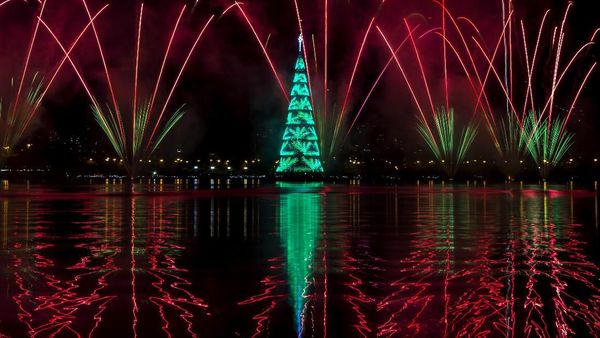 Melihat Lagi, Dekorasi Pohon Natal yang Mempesona