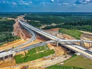 Wah! Gajah Bakal Ikut Wira-Wiri di Tol Pekanbaru-Dumai