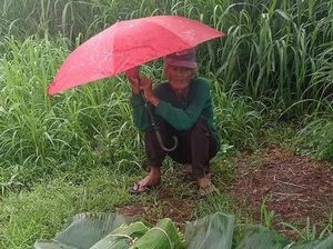 Hujan Deras, 5 Orang Ini Tetap Semangat Jualan dan Antar Makanan Demi Nafkah Hujan Deras, 5 Orang Ini Tetap Semangat Jualan dan Antar Makanan Demi Nafkah