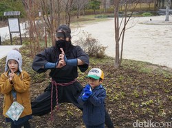 Desa Para Ninja, Cocok Nih buat Liburan Akhir Tahun