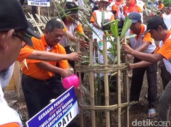 Upaya Pemkab Pacitan Pulihkan Mata Air Mengering Saat Kemarau