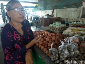 Harga Telur Naik Jelang Nataru, Pedagang Martabak di Sidoarjo Resah Harga Telur Naik Jelang Nataru, Pedagang Martabak di Sidoarjo Resah