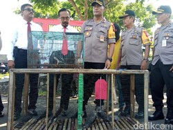 Jual-Beli Alap-alap Via Online, Pria Banjarnegara Ditangkap