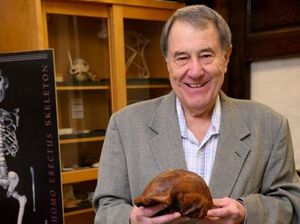 Fosil Homo Erectus Terakhir Ditemukan di Jateng, Umurnya Ratusan Ribu Tahun