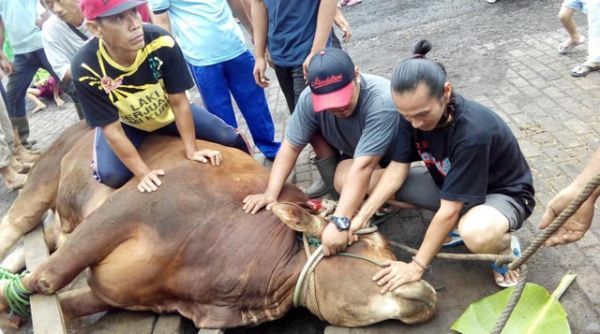 tradisi natal marbinda