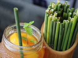 Selain Bambu, Kini Batang Rumput Diolah Jadi Sedotan Ramah Lingkungan