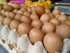 Dampak Banjir di Jakarta, Permintaan Telur dari Blitar Turun 20%