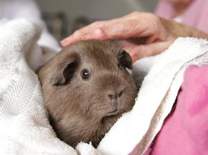 Program Unik Penjara agar Napi Lansia Happy dan Tak Balik Lagi