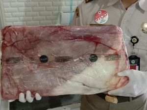 Ratusan Kg Daging Sapi Beku Diamankan Petugas Karantina Pangkalpinang