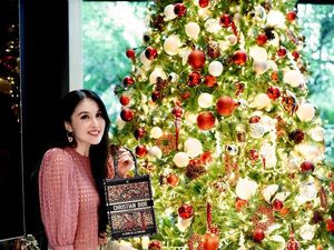 Intip Hiasan Pohon Natal di Rumah 5 Artis Indonesia Intip Hiasan Pohon Natal di Rumah 5 Artis Indonesia