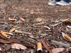 Buang Puntung Rokok dari Mobil di NSW Kini Bisa Didenda Hingga Rp 106 Juta