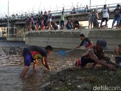 Musim Hujan Datang, Saatnya Warga Lamongan Ngumbo di Bengawan Solo