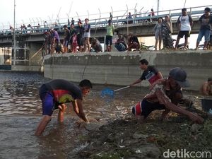 Musim Hujan Datang, Saatnya Warga Lamongan Ngumbo di Bengawan Solo Musim Hujan Datang, Saatnya Warga Lamongan Ngumbo di Bengawan Solo
