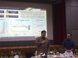 Airlangga soal Ekspor Benih Lobster: Kita Dorong Budi Daya