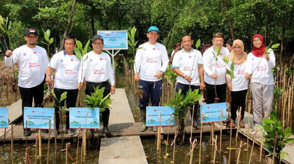 Tanam Mangrove untuk Cegah Abrasi