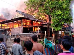 Jago Merah Mengamuk di Permukiman Warga Makassar