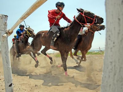 Pacu Kuda Tradisional, Magnet Wisata di Jeneponto Sulsel