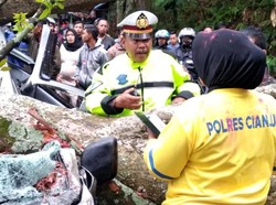 Pohon Timpa Mobil di Jalur Cianjur-Puncak, 2 Orang Terluka