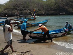 Kata Nelayan Pacitan Wacana Ekspor Baby Lobster