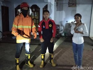 Sepekan, Damkar Trenggalek Evakuasi Tiga Cobra dan Dua Sarang Tawon