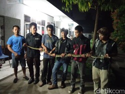 Kemunculan Ular Sanca Tiga Meter Bikin Histeris Pelajar