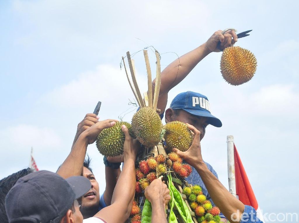 Seru! Warga Berebut Gunungan Durian dan Rambutan Ace di Kudus Seru! Warga Berebut Gunungan Durian dan Rambutan Ace di Kudus